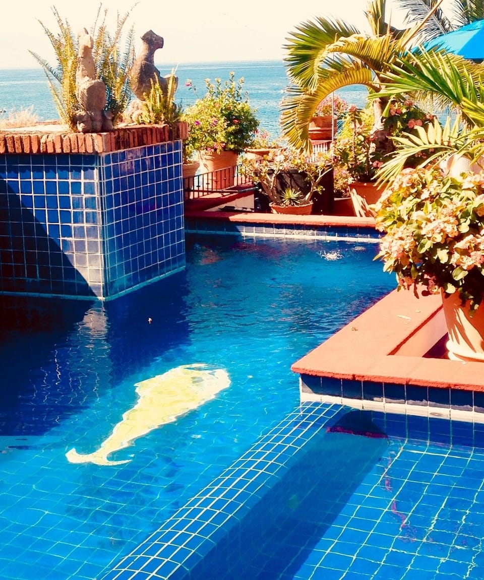 Condominios El Dorado pool overlooking the beach