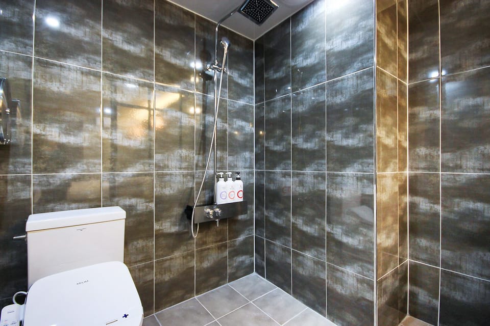 Free toiletries, hair dryer, slippers, bidet
