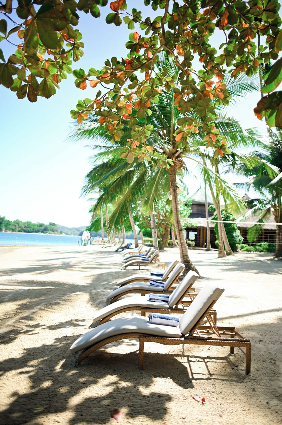 Fridays Puerto Galera Hotel in Puerto Galera