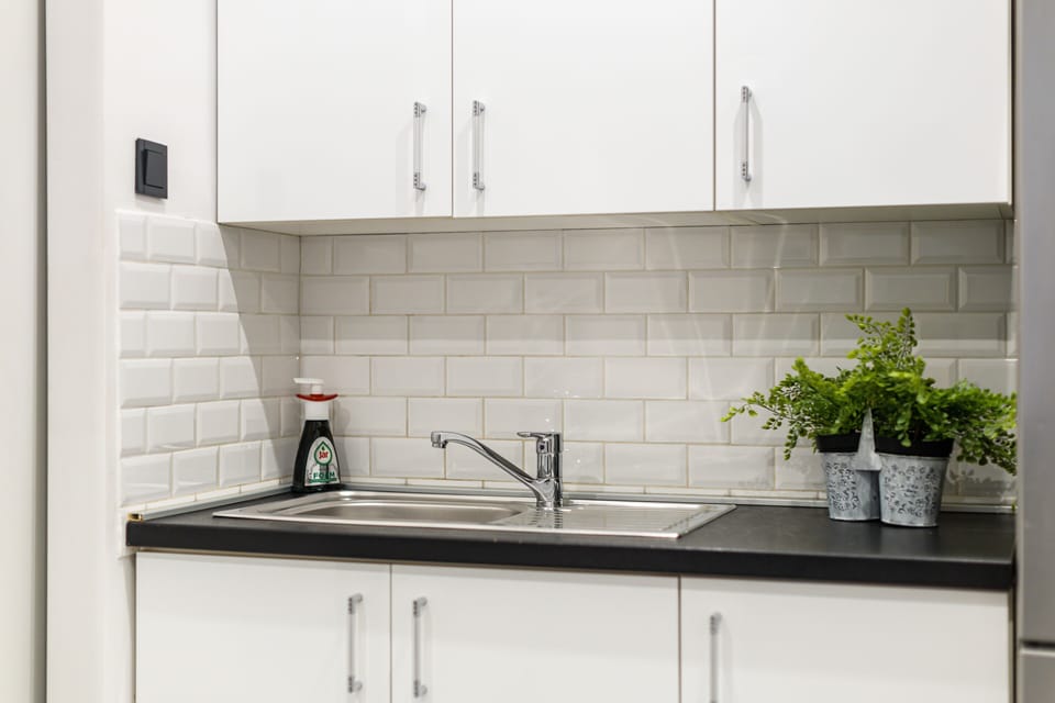 Luxury Apartment | Private kitchen | Fridge, oven, dishwasher, espresso maker