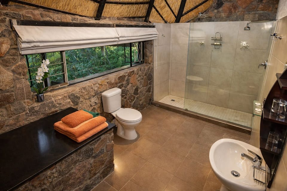 Separate tub and shower, free toiletries, hair dryer, towels