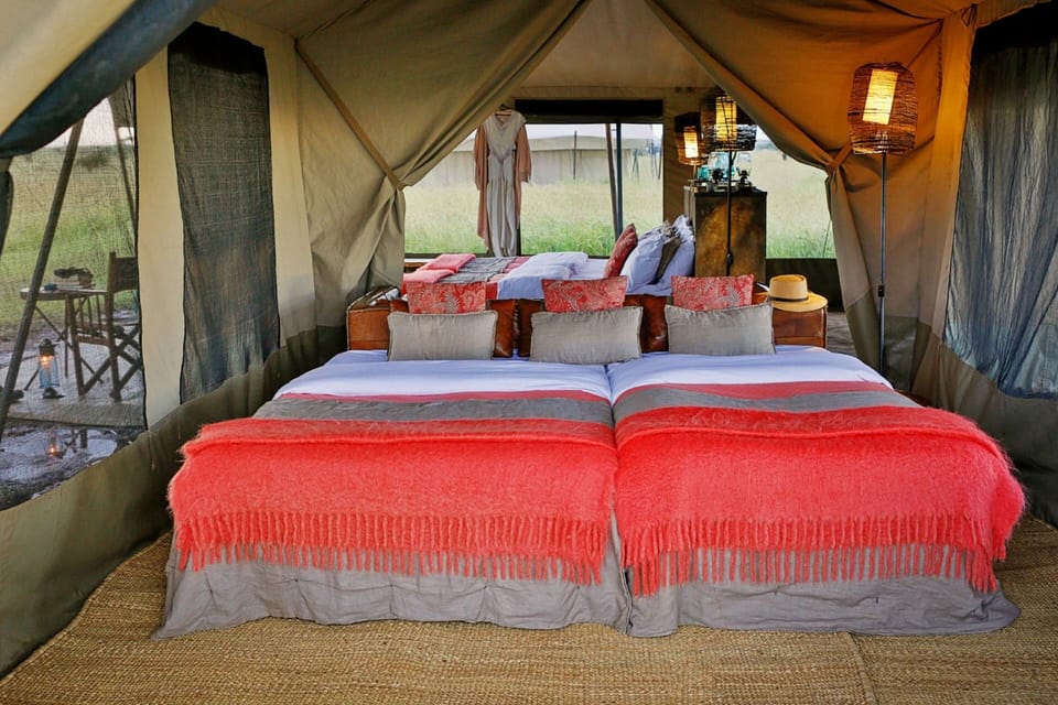 Junior Suite | Desk, blackout drapes, bed sheets