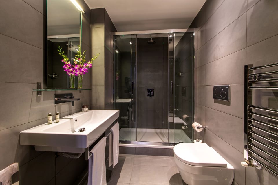 Deluxe Double Room | Bathroom | Free toiletries, hair dryer, towels, soap