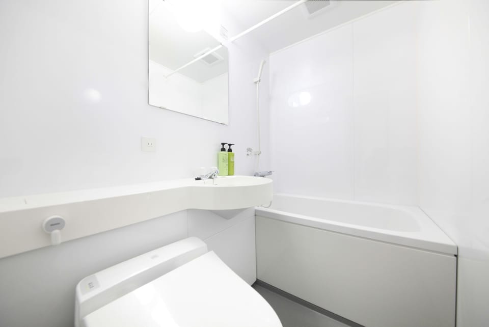 Combined shower/tub, free toiletries, hair dryer, electronic bidet