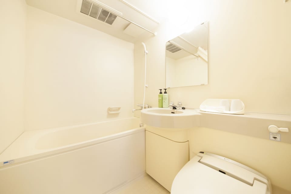Combined shower/tub, free toiletries, hair dryer, electronic bidet
