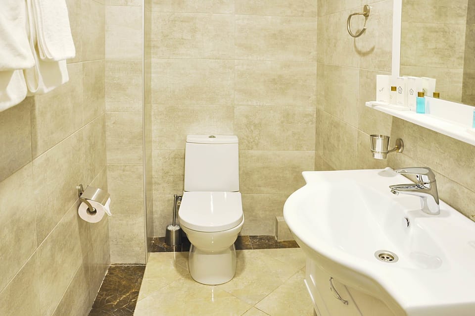 Luxury Room | Bathroom | Shower, free toiletries, hair dryer, bathrobes