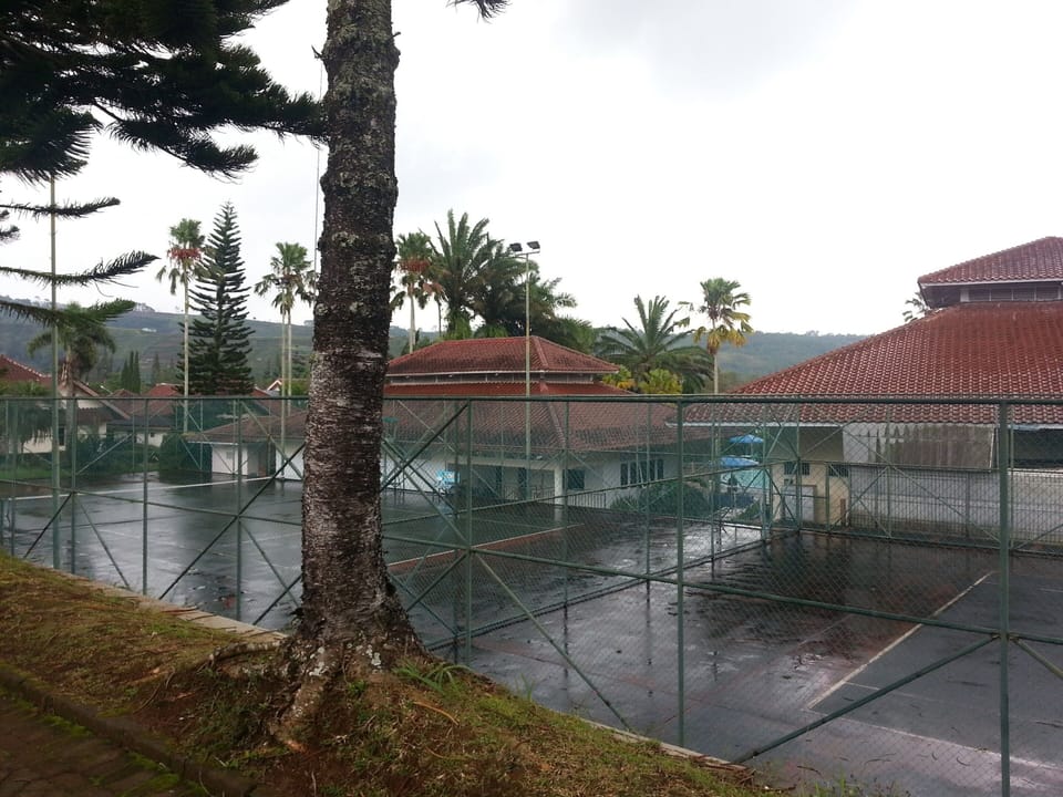 Tennis court
