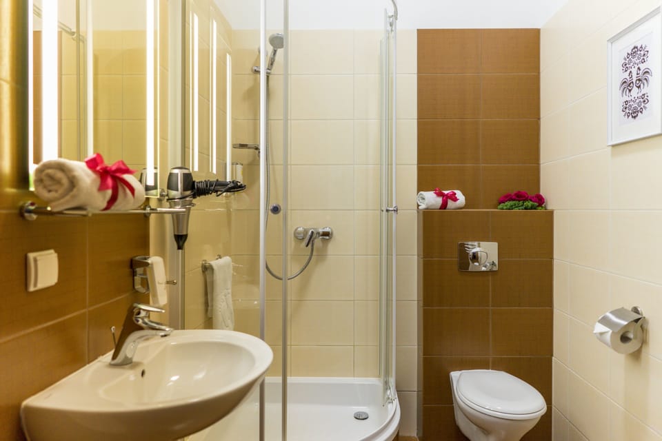 Shower, hair dryer, towels