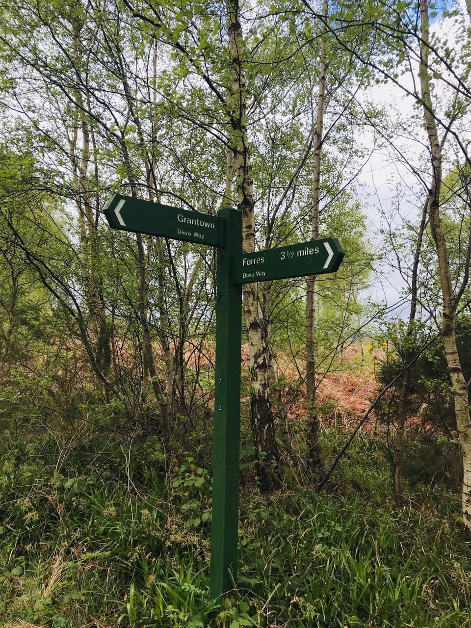 Hiking