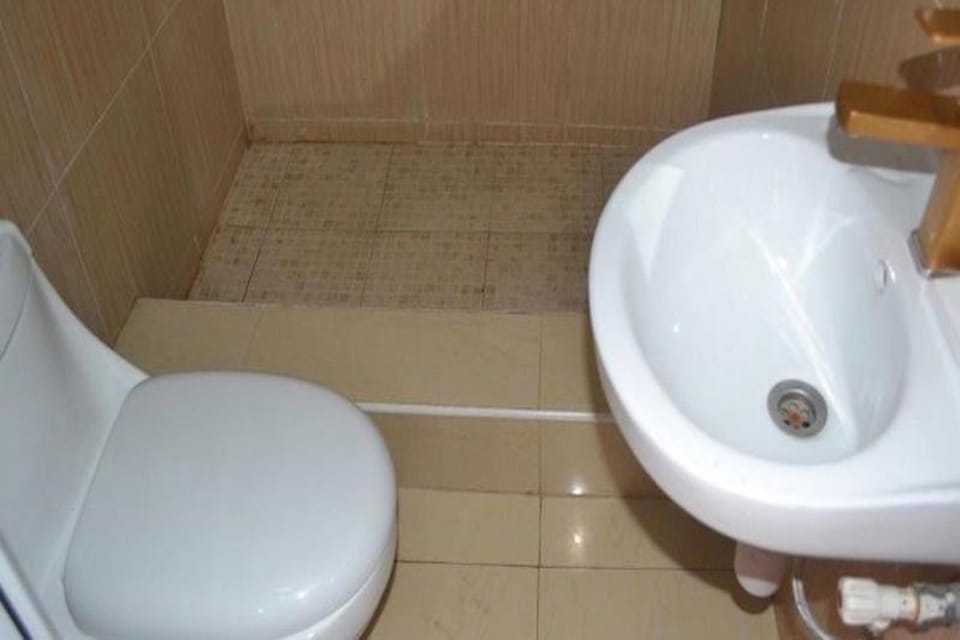 Deluxe Studio, 1 Queen Bed | Bathroom | Shower, free toiletries, towels