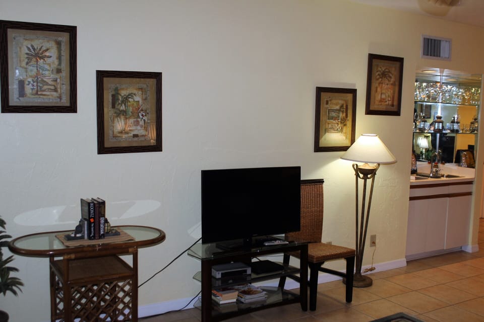 Living Room TV