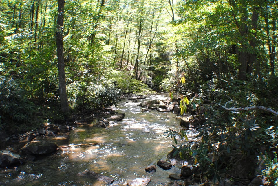 Experience the beauty of the Laurel Highlands.