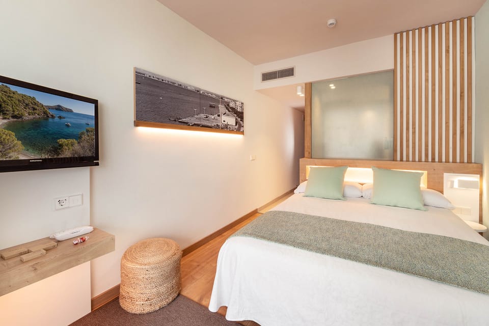 Premium Double Room | Desk, soundproofing, free WiFi, bed sheets