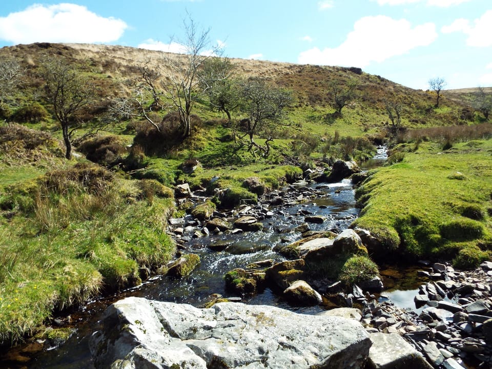 Fabulous walking all over the moor.