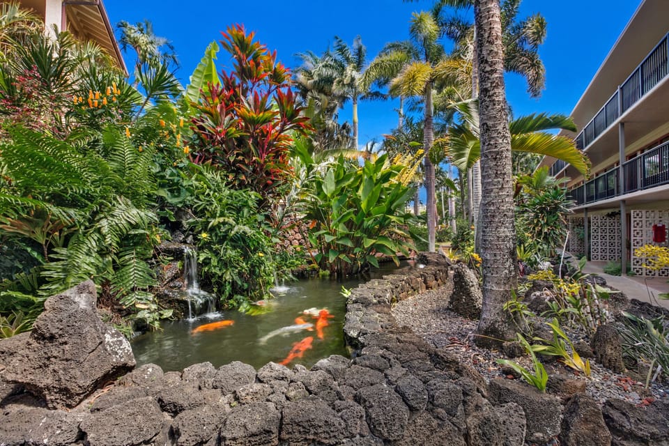 Koi Pond