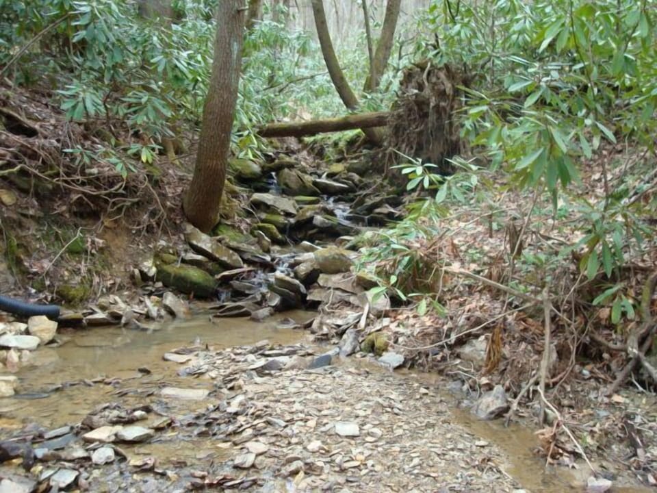Nearby creek
