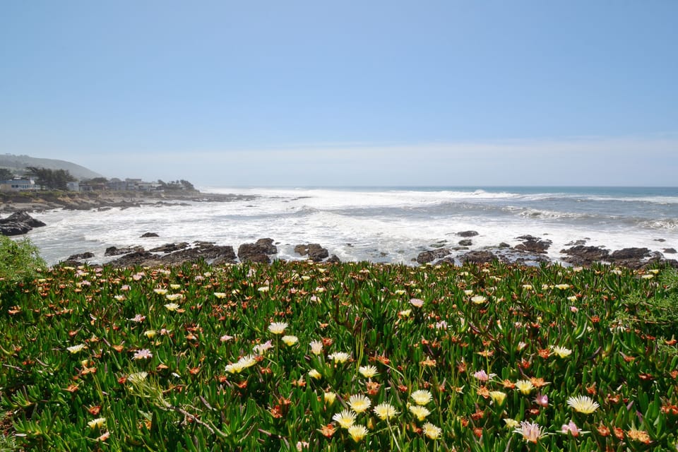 Rugged Cambria coastline