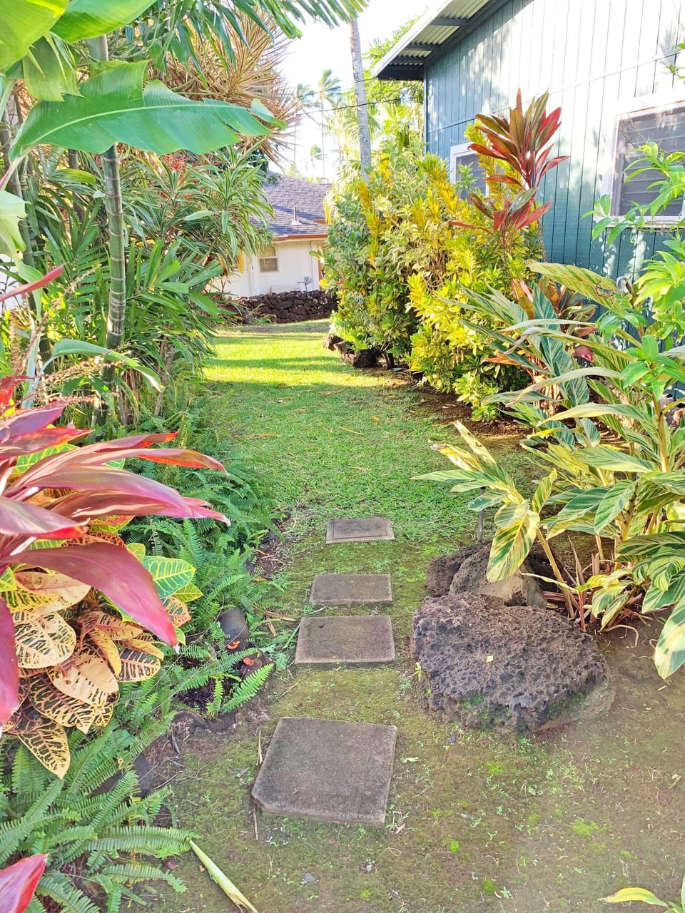 Yard
