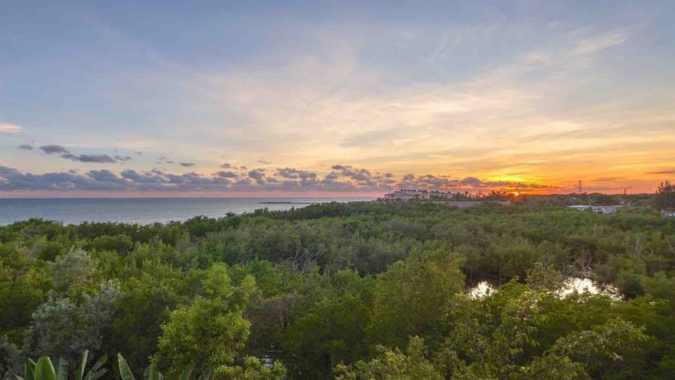 The property overlooks a nature preserve and the Atlantic Ocean...