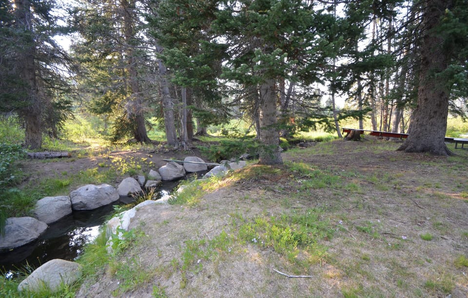 Stream Flowing through Backyard
