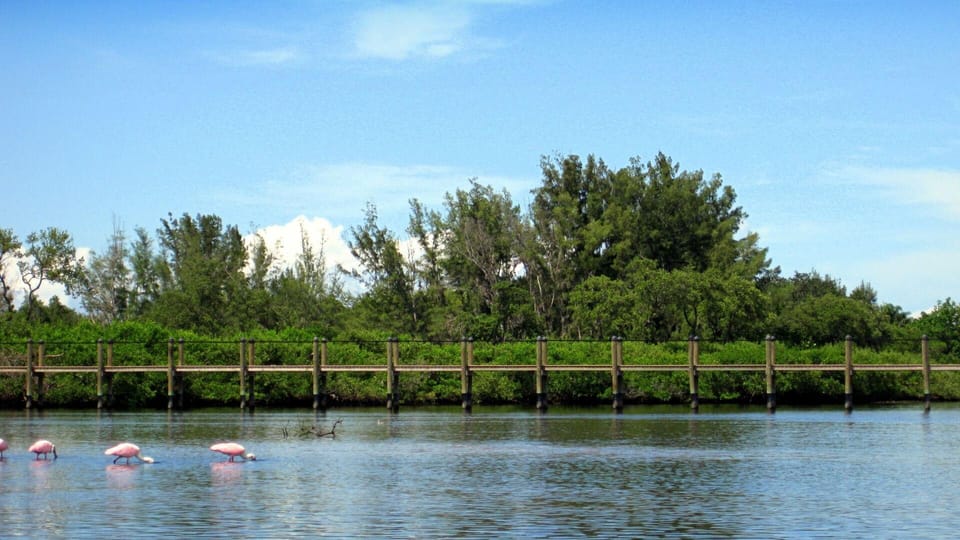 Lake