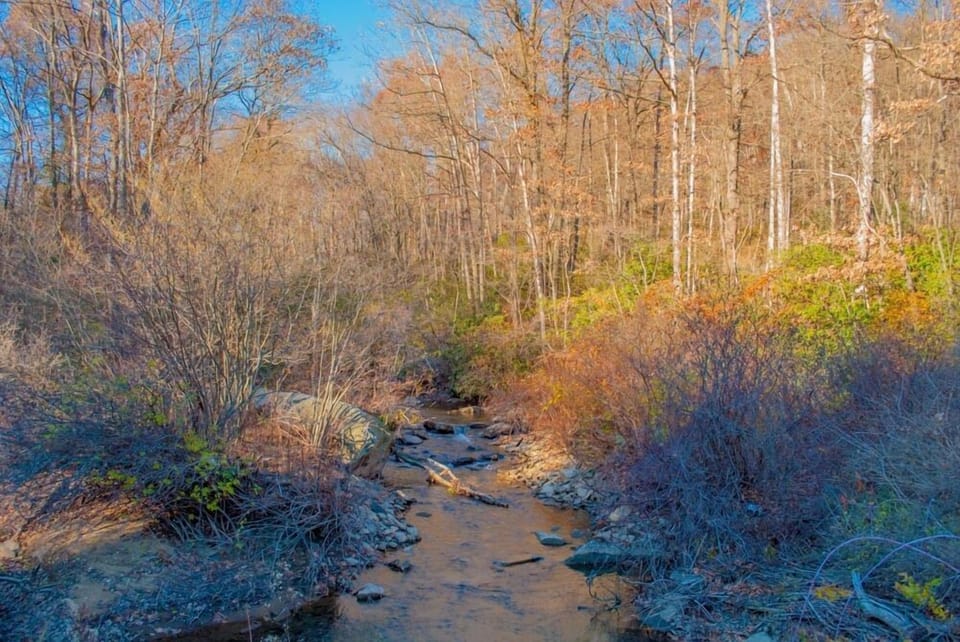 Experience the beauty of the Laurel Highlands. Book your mountain getaway today.
We offer the most unique collection of vacation homes in Laurel Highlands. From a cozy couple's getaway to a sprawling 400-acre private retreat, we have the perfect accommodations for your destination getaway.