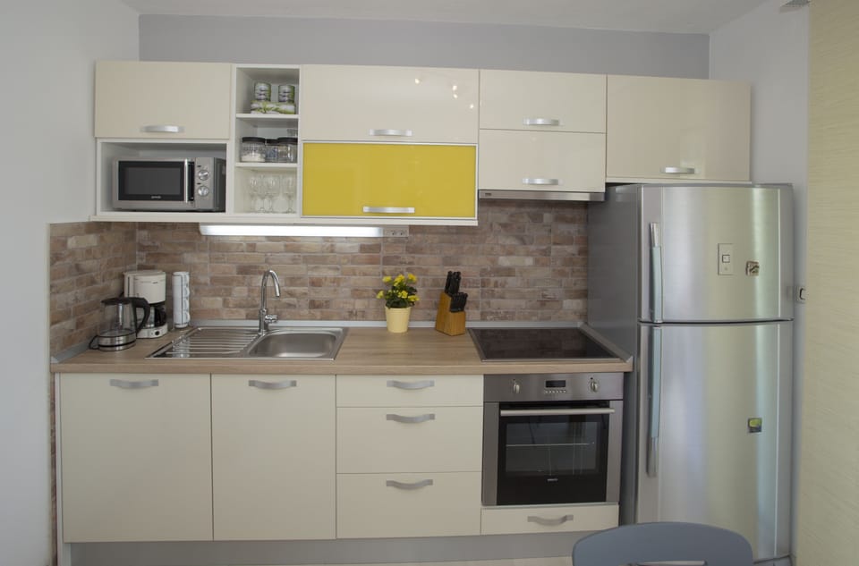Fully equipped kitchen - fridge, oven, stove, microwave, dishwasher, kettle...