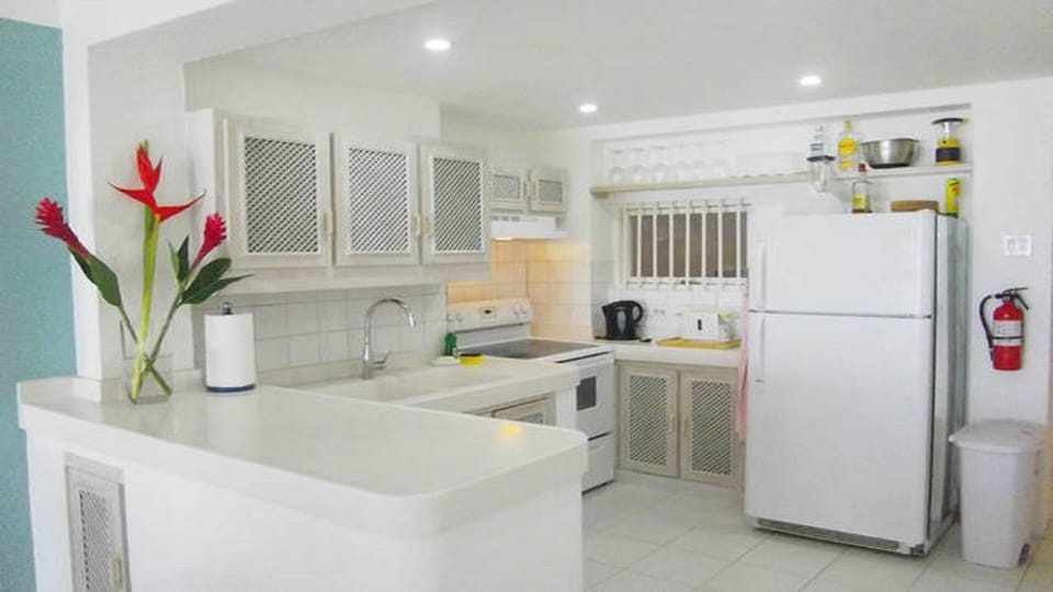 Royal Palm Kitchen with stove, fridge, coffee machine, blender and toaster