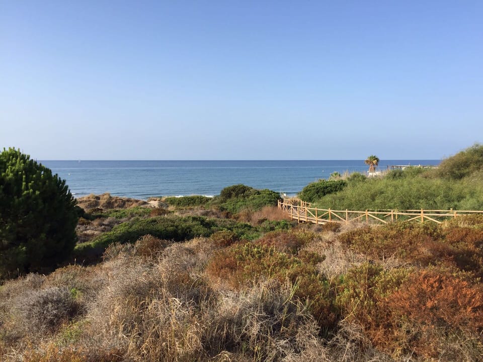 General view of the dune area