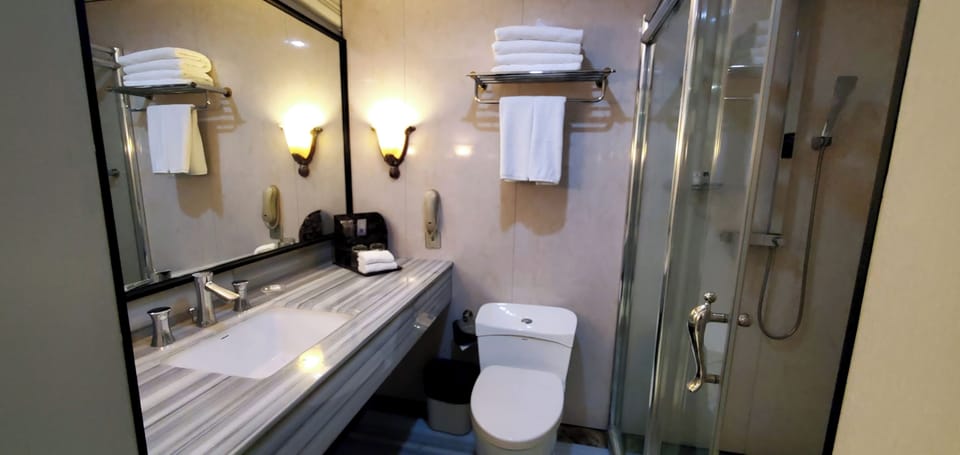Shower, free toiletries, hair dryer, bathrobes