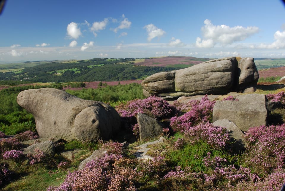 Heather moorland and gritstone tors.  
