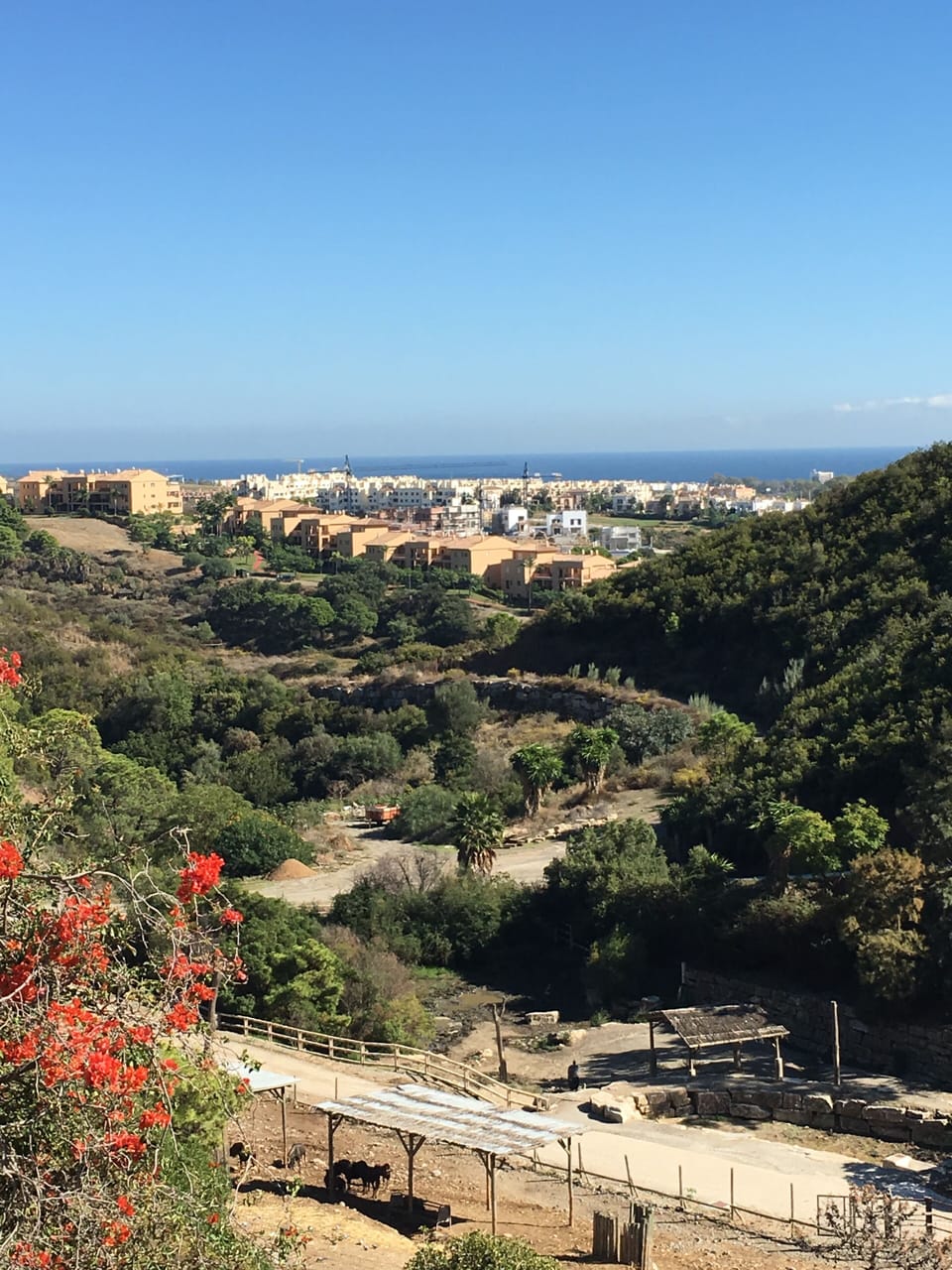 Selwo views