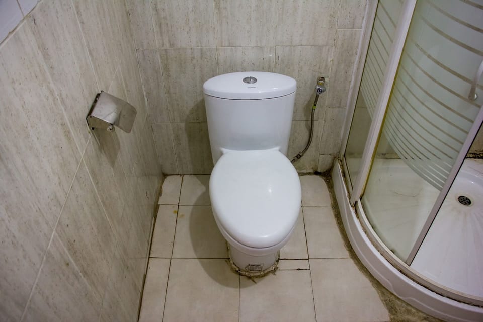 Deluxe Room | Bathroom | Free toiletries, towels