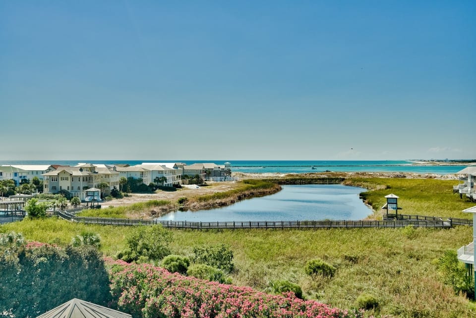 View from the Balcony