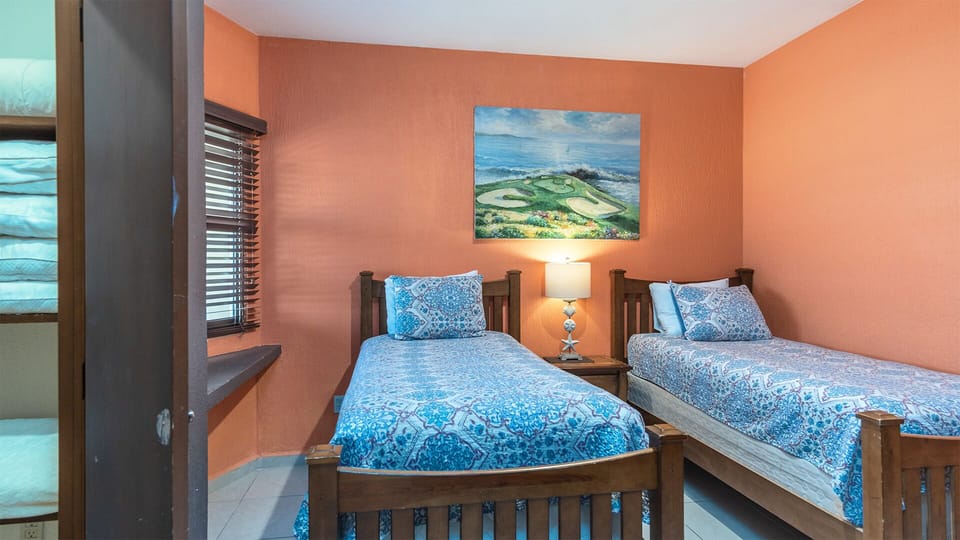two twin beds and walk in closet