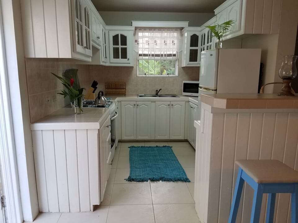 Be adventurous and try to cook a bajan meal!