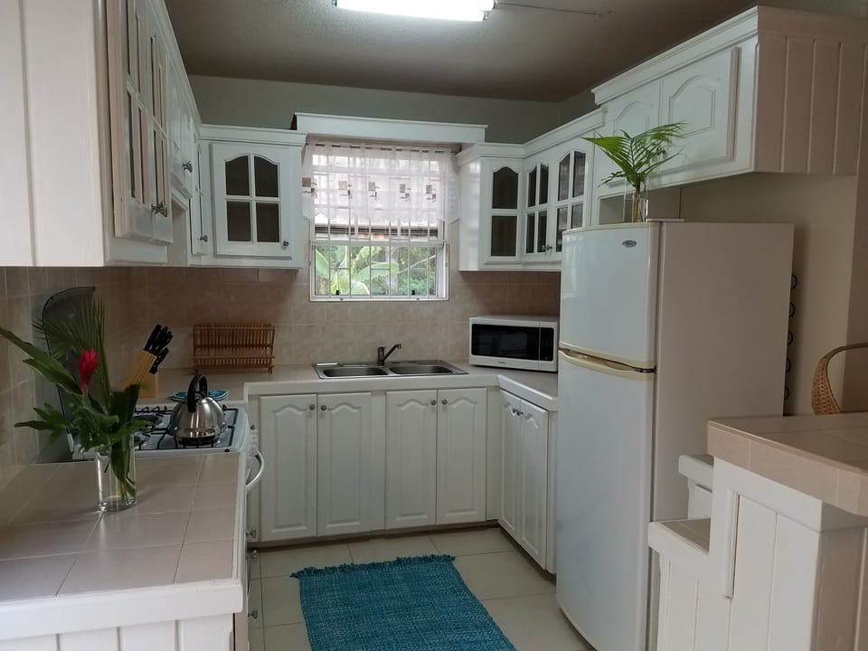 Caribbean inspired kitchen
