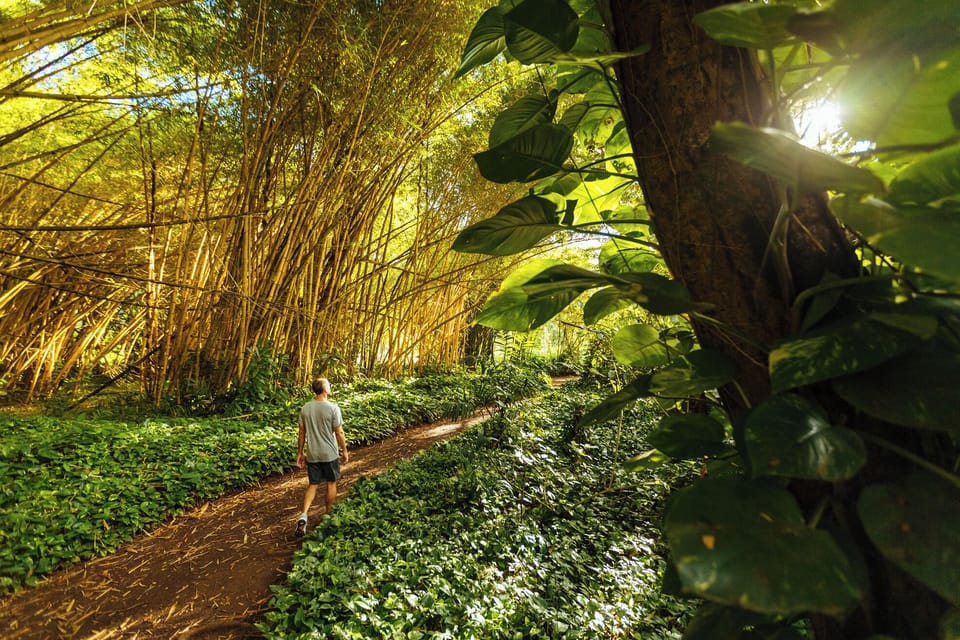 Allerton Garden ... Credit: HTA / Ben Ono
