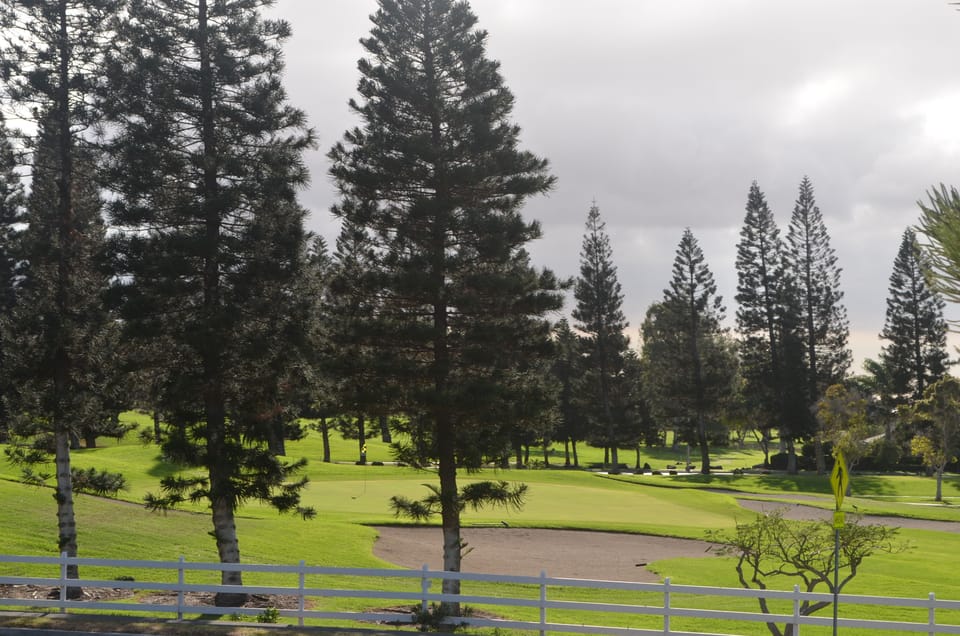 Golf Course View