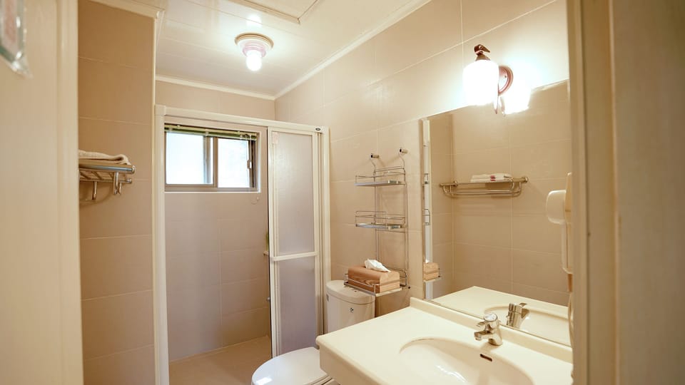 Free toiletries, hair dryer, slippers, towels