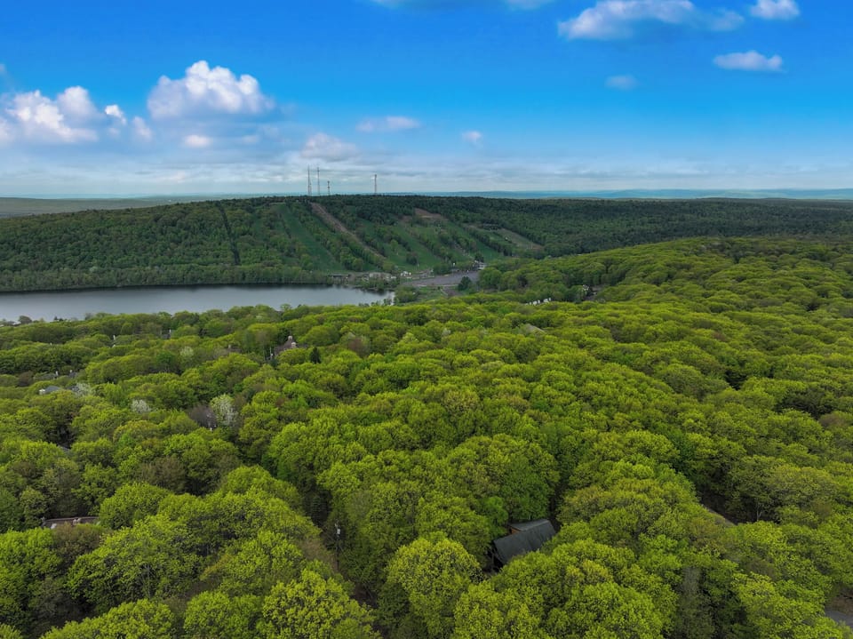 Lake Harmony Life