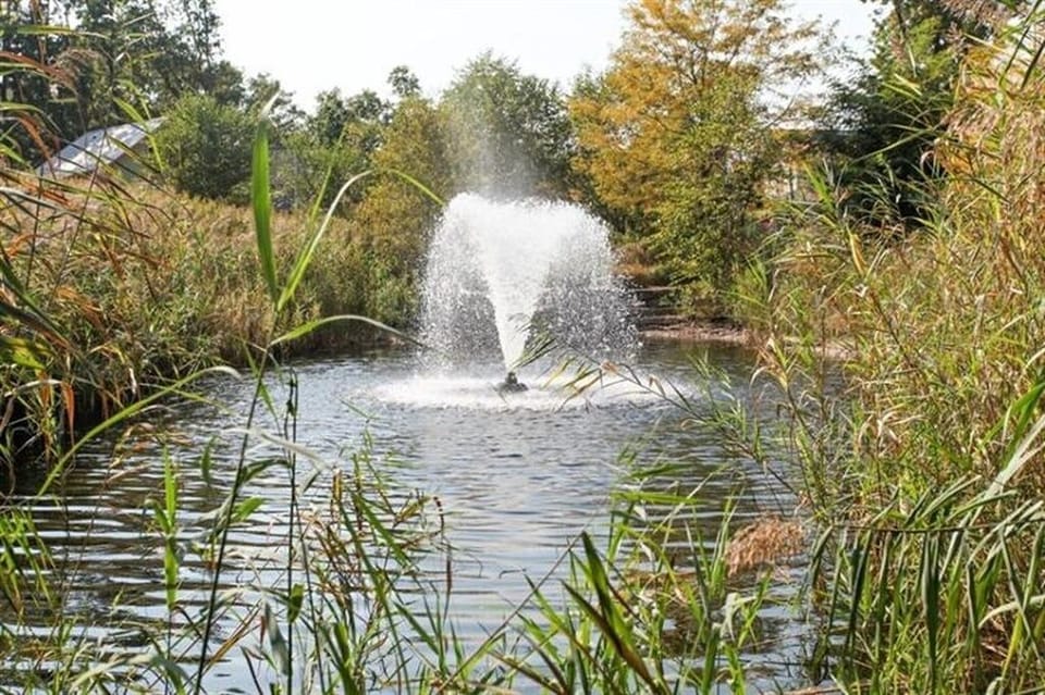 Waterfall Park