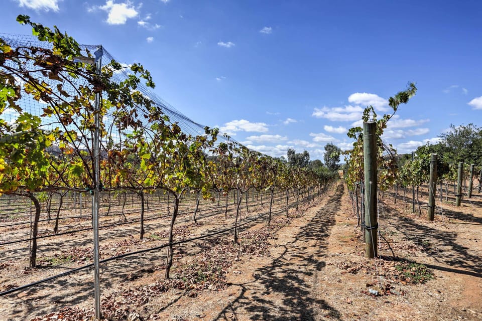 Surrounding Area | 6-Acre Vineyard Estate | Homeowner On-Site