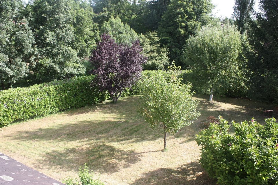 View of garden from first floor