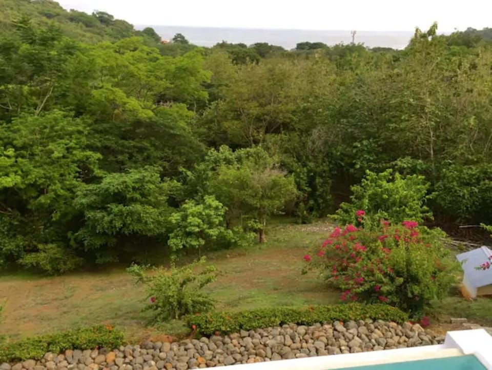 You will be surrounded by lush vegetation with great ocean views!