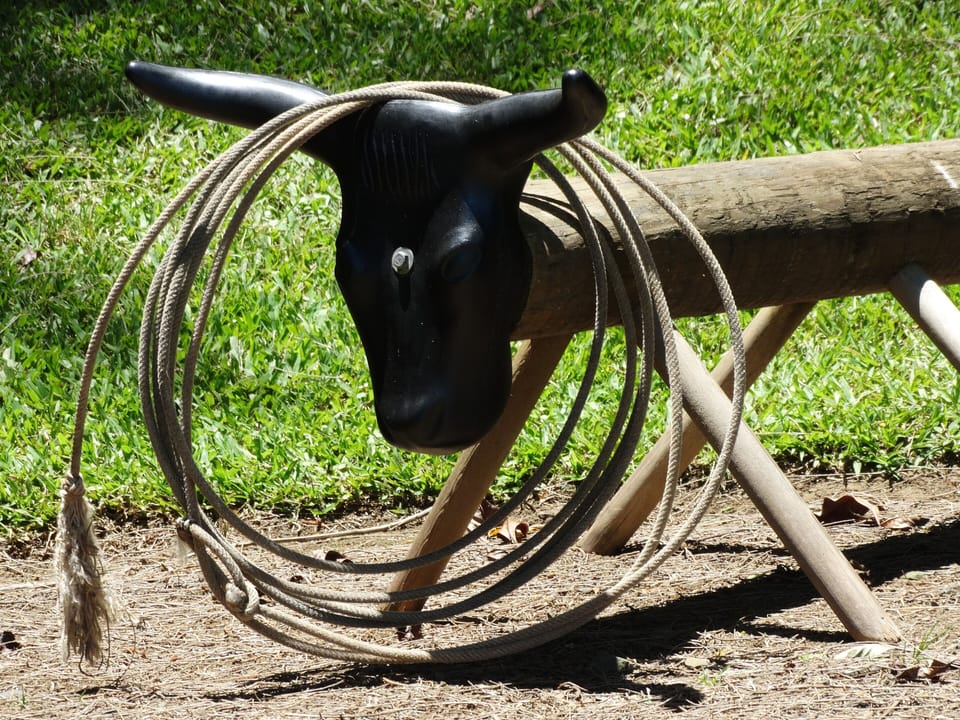 Try roping... 