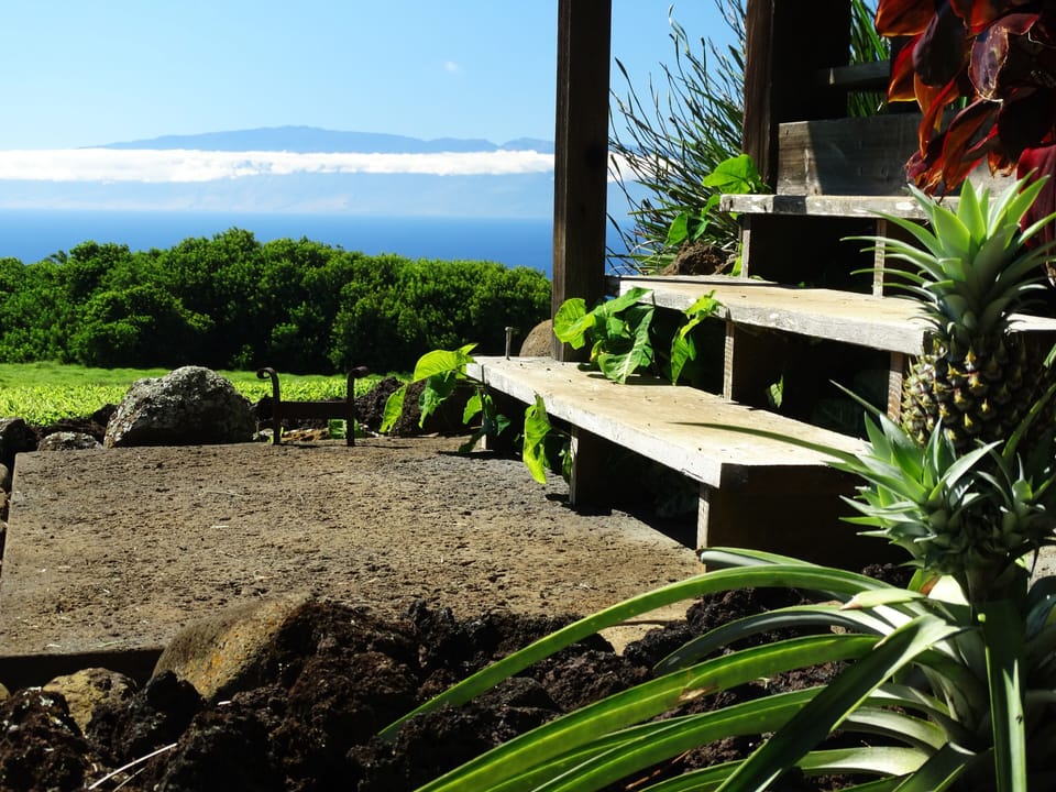 Step into Hawai'i's Paradise...