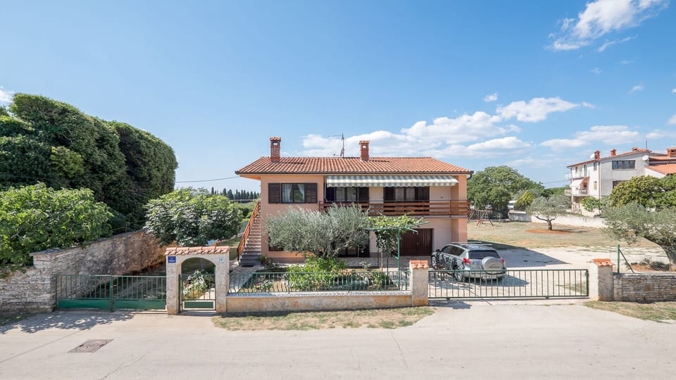 entrance view, big olive tree