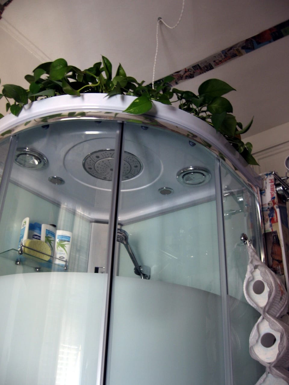 Artist's Room (with a view) Apartment in Genoa