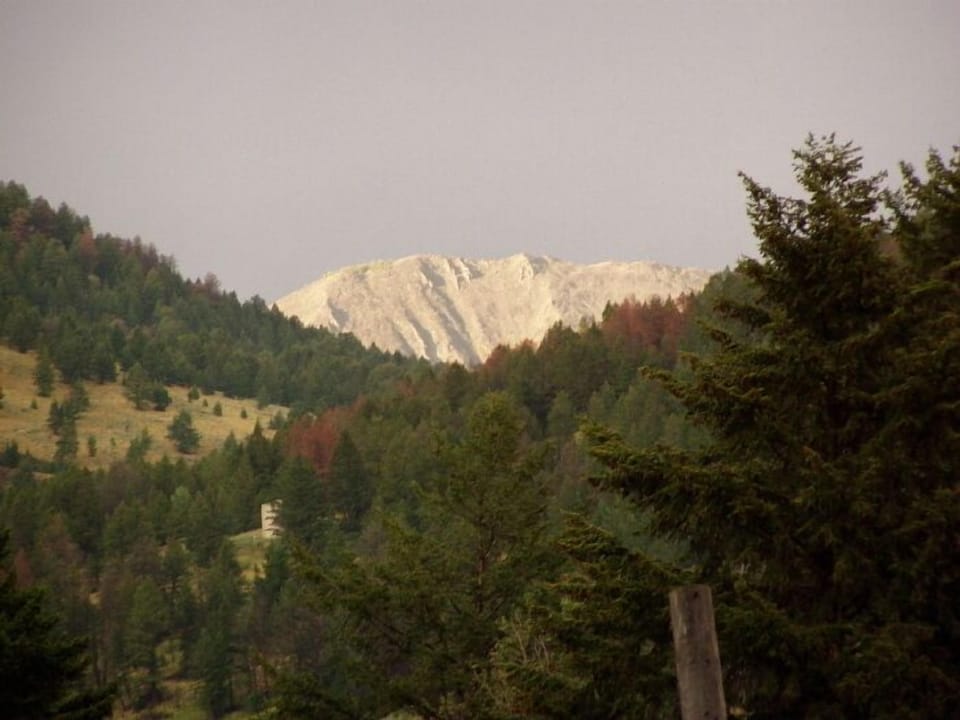 View from back deck